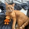 pillowmonster